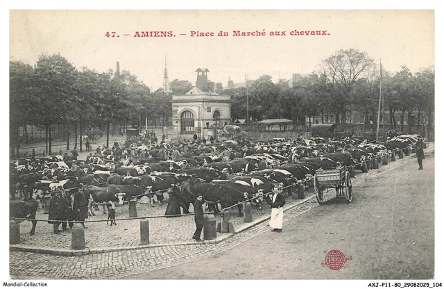 CPA Amiens, La Place du Marche aux Chevaux - FR