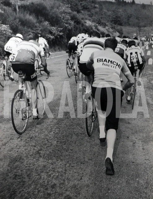 Photo de presse vintage Cyclisme, Fausto Coppi Signature Un