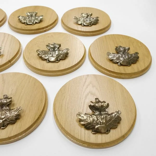 10 Pieza Placa de Jabalí Redondo Roble Claro AF17cm Con 10 X Hoja Portada Grande 2