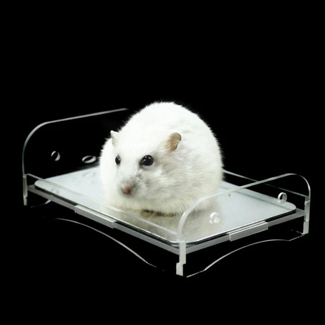 1PC Hamster Cooling Pad Hamster Kühlung Bett Guinea Pig Bett Matte Chinchilla 2