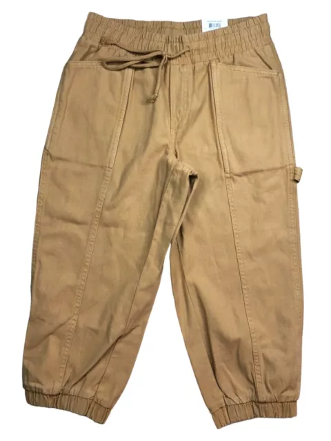 MSRP $50 Style & Co Surplus Crop Pants Icy Coffee Size - Petite Small