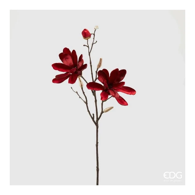 EDG - Ramo Magnolia Velluto H66
