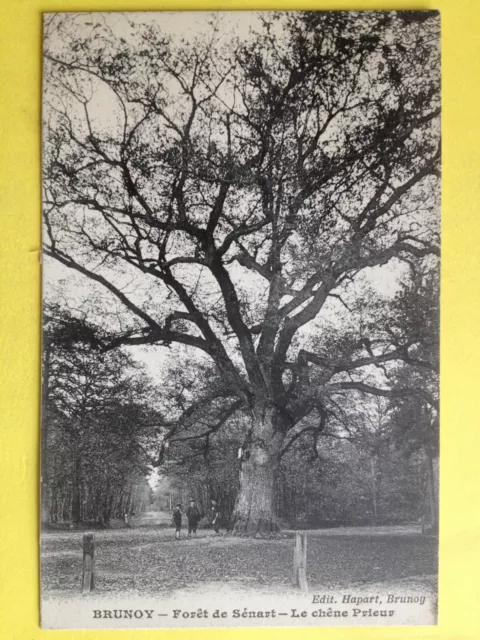 cpa FRANCE 91 - BRUNOY Essonne Forêt de Sénart  Le CHÊNE PRIEUR ARBRE TREE