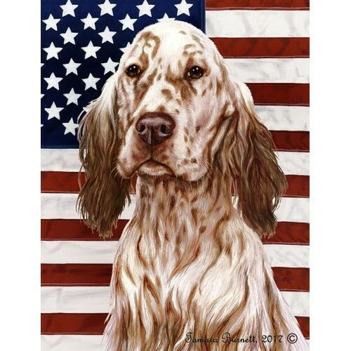 Patriotic (D2) House Flag - Orange Belton English Setter 32112