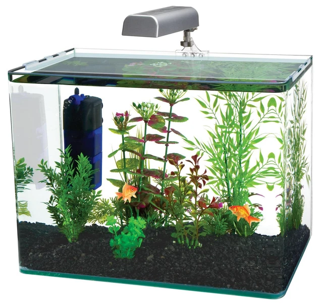 Desktop Aquarium Glass Fish Tank Starter Kit 5 Gallon With LED Light And Filter