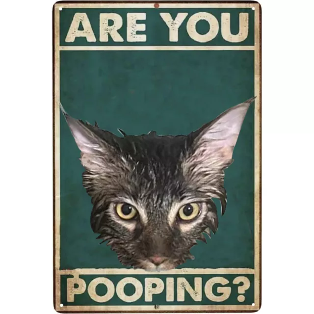 Divertido letrero de metal lata Are You Pooping vintage gato pared arte cartel decoración 8x12 pulgadas