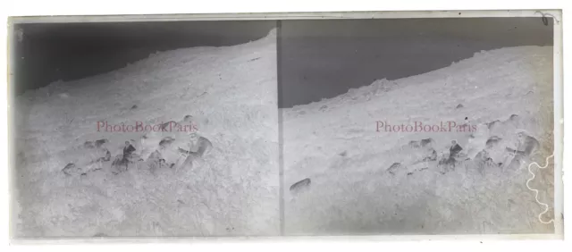 Family Lunch on the Grass Photo NEGATIVE Glass Plate c1930 Stereo PL28L 2