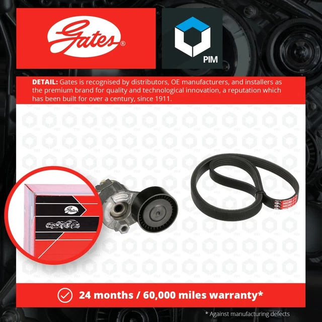 Kit cintura di trasmissione adatto a Nissan Kubistar X76 1.5D da 03 a 05 set cancelli qualità nuovo