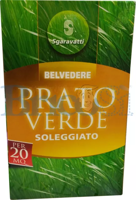 Semi sementi prato rapido miscuglio soleggiato 1Kg resistente al sole BELVEDERE