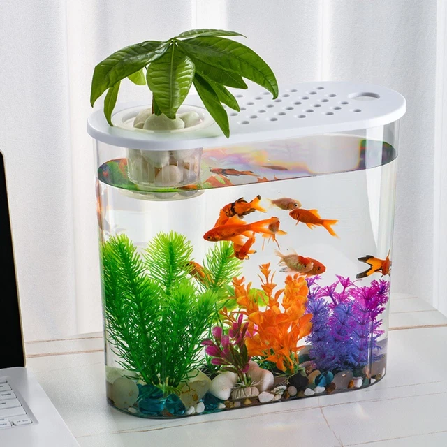 Cylinder Goldfish Bowl Transparent Fish Bucket New Viewing Tank  Tabletop