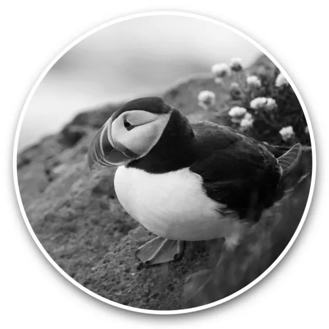 2 x Vinyl Stickers 15cm (bw) - Beautiful Atlantic Puffin Bird  #42505