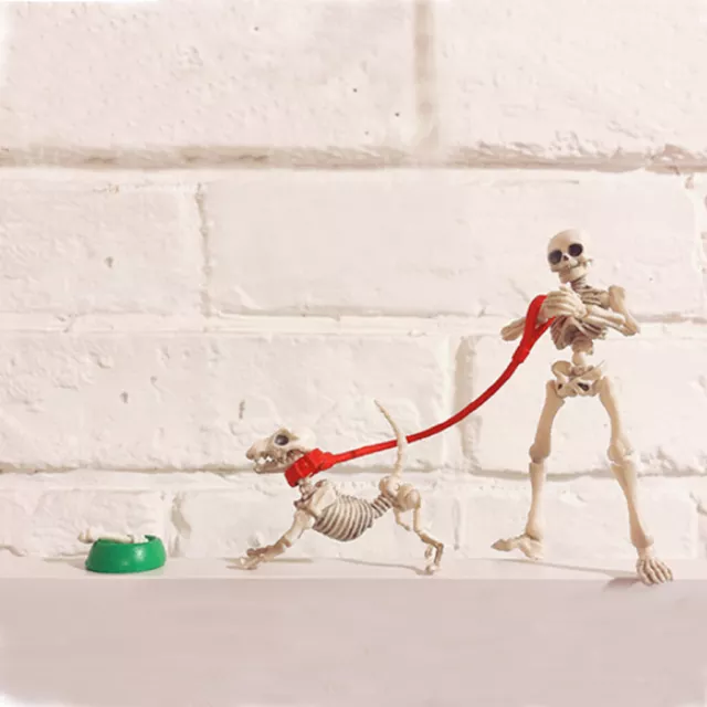 Miniatures Pose Skeleton Dog Figure Model Toy Set Dolls House Collections