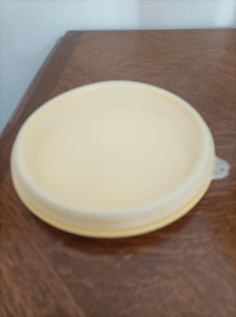 Plat Multi-services Tupperware Blanc/gris Foncé – Avec Couvercle Poignée – Pour Yaourtière