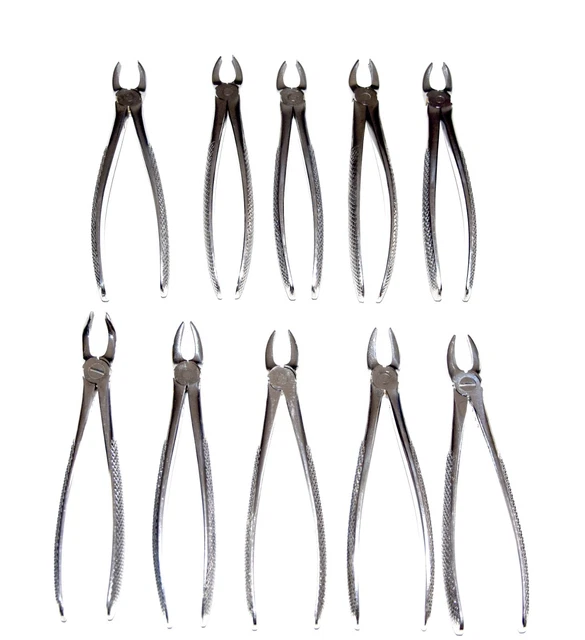Konvolut   Zahnzangen Dental Instrumente Chirurgische Instrumente 10 Stk