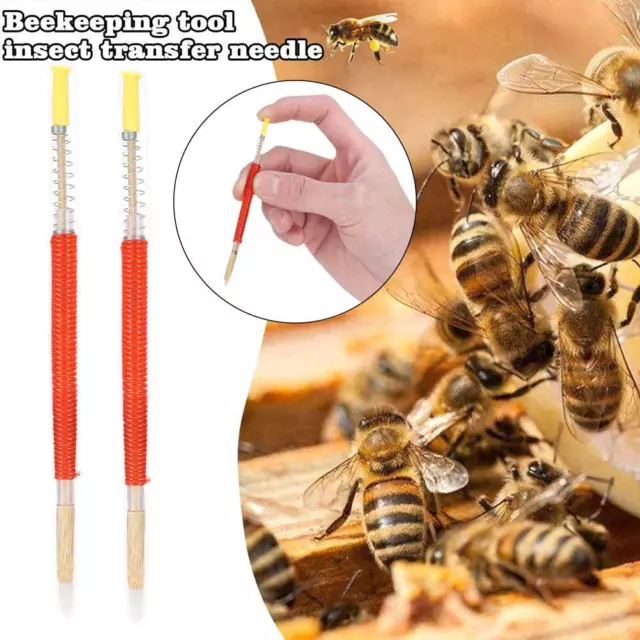 10Pcs Beekeeping Larvae Grafting Needle Bee Rearing Supplies Tools L7I7