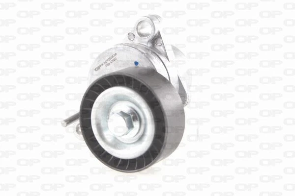 Tendeur De Courroie (Courroie D'accessoire) Peugeot 307 1.6 16V,Citroën C2 1.1