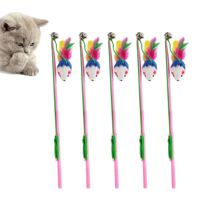 5 Pcs Plume De Chat Jouet Chat Souris Jouets À La Plume