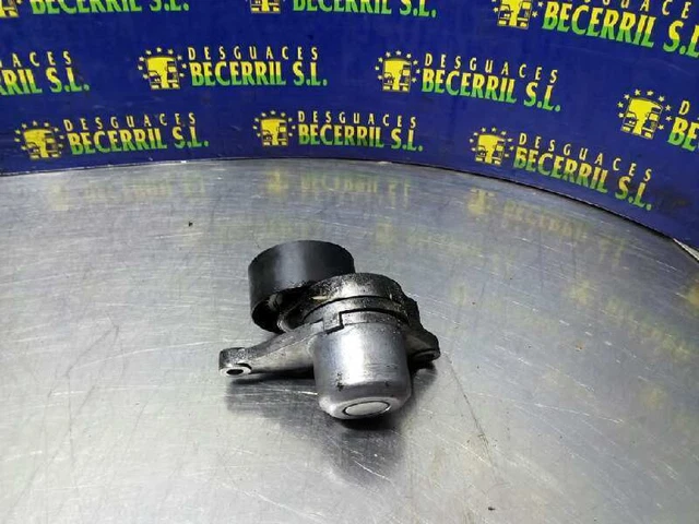 galet tendeur pour RENAULT GRAND SCENIC II 2.0 DCI (JM1K) 2004 1150524