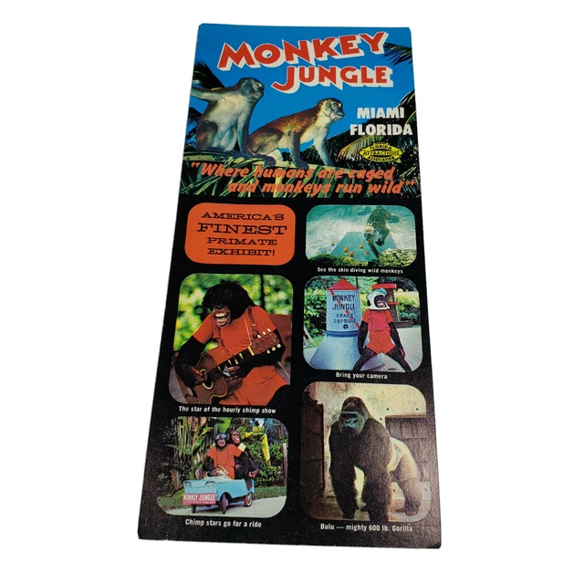 MONKEY JUNGLE MIAMI Florida Brochure - Monkey Jungle Miami Florida Brochure Map Attractions Travel.webp