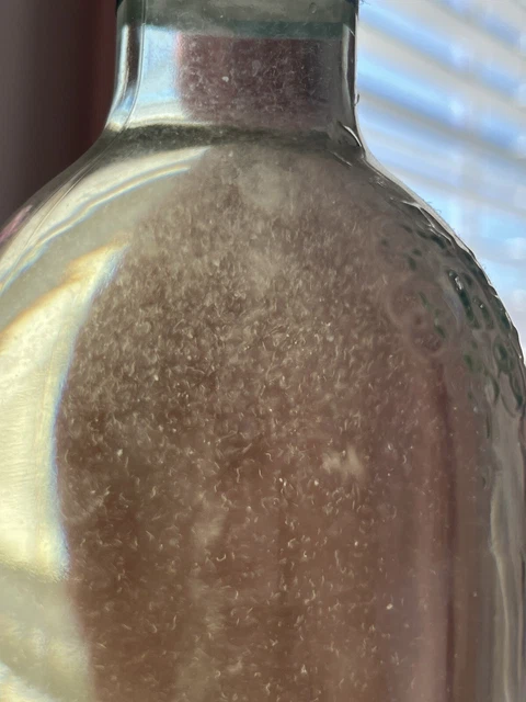 LIVE Vinegar Eels (2 Oz) *CHEAP SHIPPING* BOGO