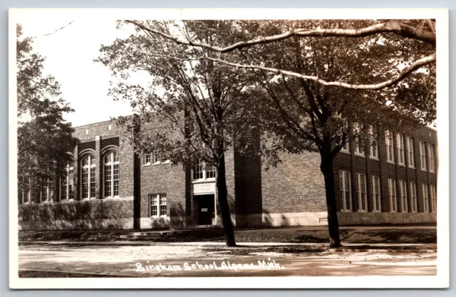 Alpena Michigan~Bingham School~Shade Trees~Arch Windows~RPPC 1940s