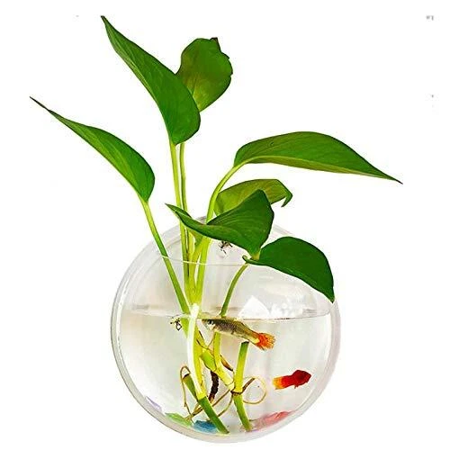 kathson Wall Fish Bowl Acrylic Hanging Aquarium Wall Mounted Bubble Betta...