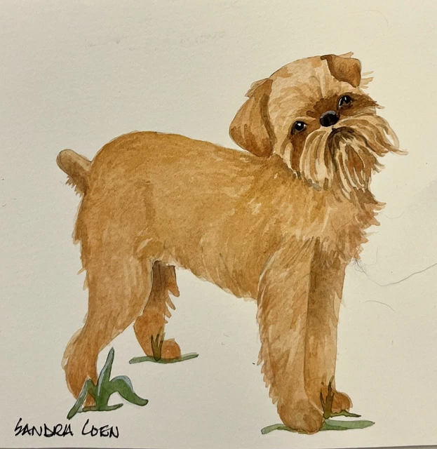 Brussels Griffon Original Watercolor by Sandra Coen