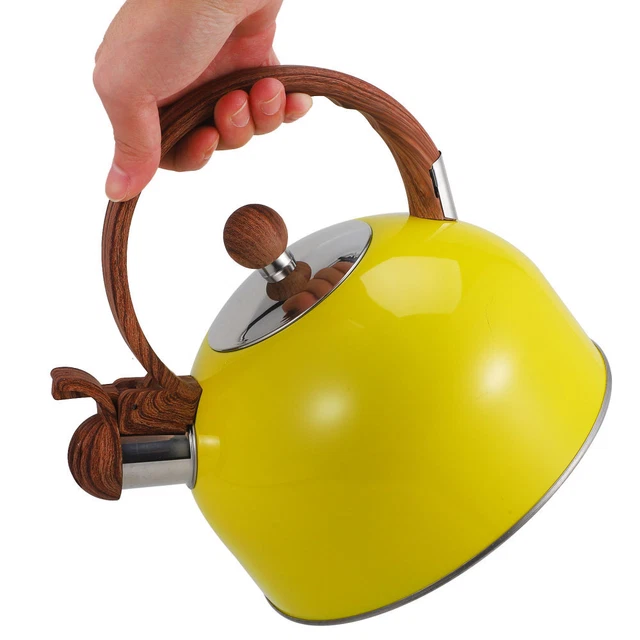 GAS WHISTLING KETTLE Kitchen Gadget Whistle Handle Pot Loud £32.25