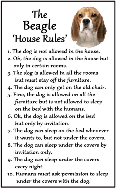 Beagle Gift - Large House Rules flexible Magnet 6" x 4" for dog lovers