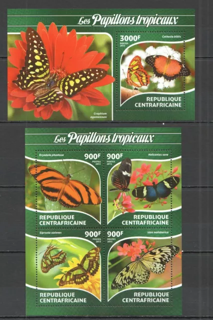 Ca273 2015 Central Africa Fauna Tropical Butterflies Kb+Bl Mnh