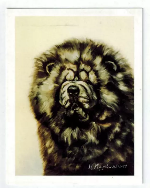 New Black Chow Chow Dog Head Study Notecard Set - 12 Note Cards By Ruth Maystead