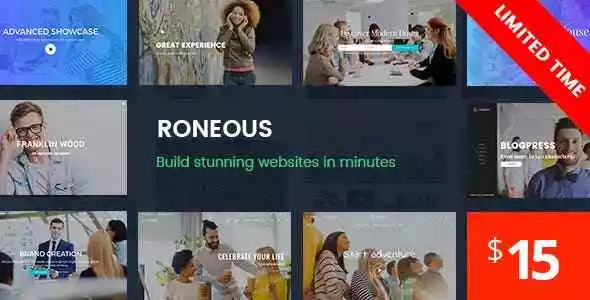 Roneous Creative WordPress Theme & Updates ⭐GPL⭐ WordPress