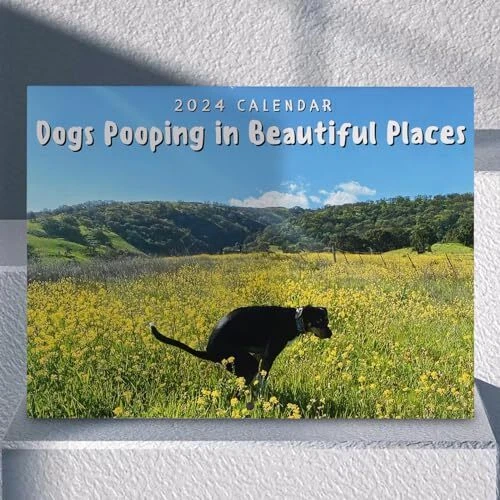 2024 CALANDER丨DOGS POOPING in Beautiful Places Calendar 2024 Wall