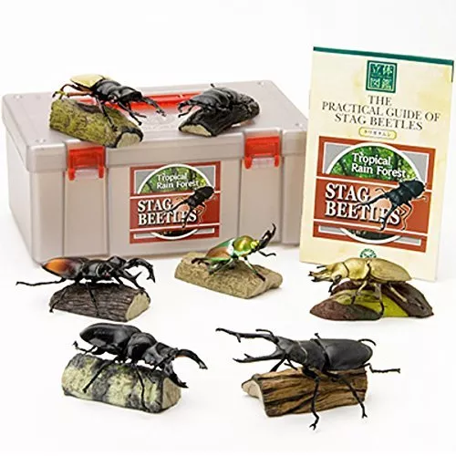 Stag Beetle PVC figure Set 7 kinds of Beetles In Box Colorata