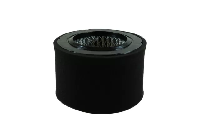 Replacement Air Filter Element For Air Compressor Sales S1019