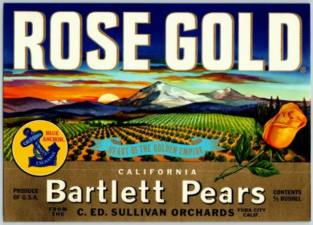 Rose Gold Pears Vintage Original Paper Fruit Crate Label Yuba City, Calif.