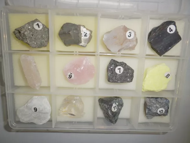 12 Mineral Stone Specimen Collection Set 4 in Plastic Box Teaching Kit MSS12-4