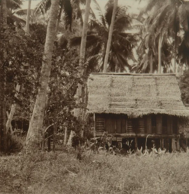 Square Top Keystone Stereoview of Grass-Thatched Hut in British Malaya K600 #902