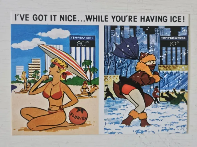 Vintage Florida Postcard 1992 "I've Got It Nice While You're Having Ice!"