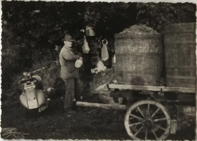Photo Ancienne - Vintage Snapshot - Scooter Vespa Vendanges - Grape Harvest