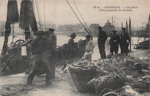 50 CHERBOURG lot of 3 CPA 81317
