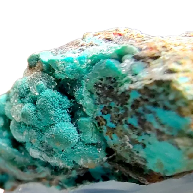 Shattuckite Malachite Chrysocolla with Quartz with base Ojuela MIne best Quality