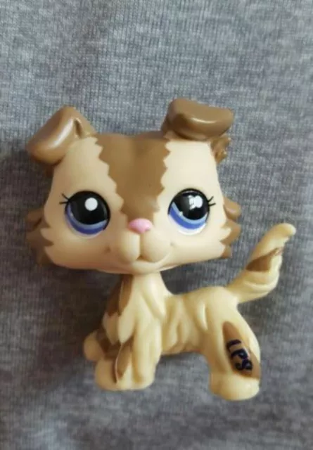 Hasbro Littlest Pet Shop 2210 Brown Cream Collie Puppy Dog Blue Eye Loose LPS