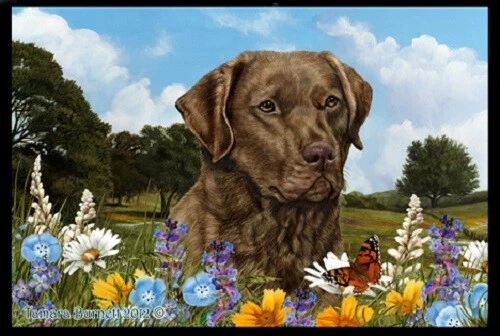 Summer Floor Mat - Chesapeake Bay Retriever 39070