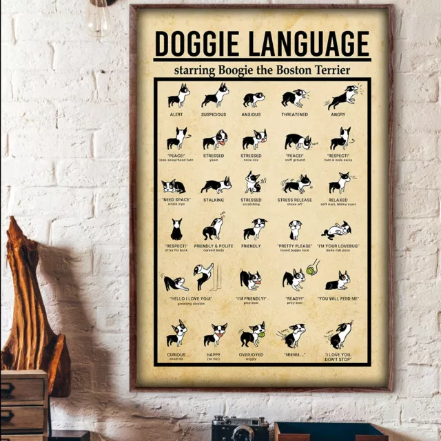 Doggie Language Starring Boogie The Boston Terrier Knowledge Poster