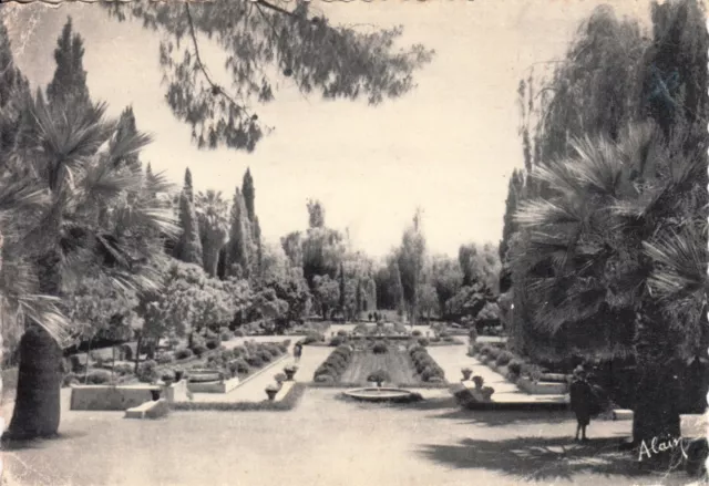 Carte postale 10cmX15cm MAROC MOROCCO FEZ FES jardin de bou jeloud écrite