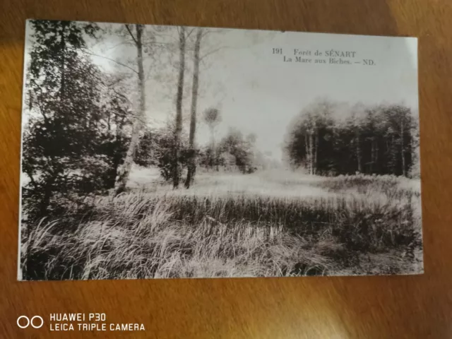 CPA - 91 - SENART - Forêt de Sénart - La Mare aux Biches