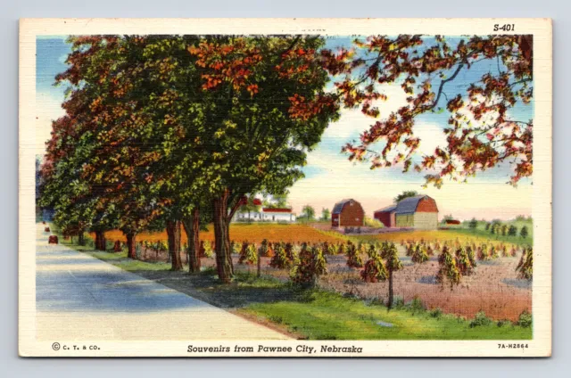c1944 Scenic View Souvenirs Farm View From Pawnee City Nebraska NE Postcard