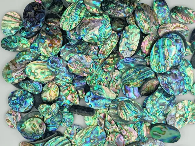 Natural Abalone Shell Piece Wholesale Lot Abalone shell For jewelry making 72408