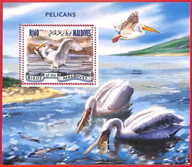 A4138 - MALDIVES - ERROR MISPERF, Souvenir sheet: 2014, Pelicans, Birds